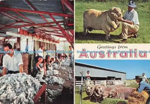 D290669 Grüße aus Australien. Schafschur. Johannes Engelander. Krüger. Multi