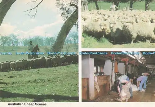 D290670 Australische Schafszenen. National View. Murfett. Multi View