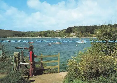 D294609 Helford. Cornwall. Helford River. Unzählige Bäume. J. Arthur Dixon