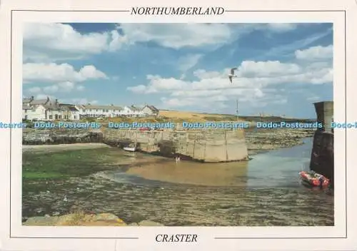 D297495 Northumberland. Craster. Micheal Goonan. Szenische Fotos