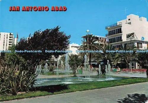 D290688 San Antonio Abad. Cofiba