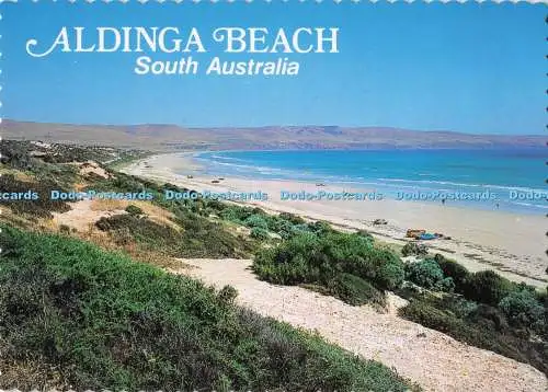 D290692 South Australia. Aldinga Beach. Souvenirzubehör. Terry Castle