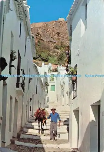 D290708 Frigiliana. Malaga. El Zacatin Street. Som Cerezo