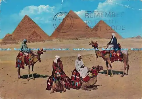 D297539 Araber in der Nähe von Pyramidengruppe von Gizeh. Dar El Kitab el Guedid. PM. London. 1976