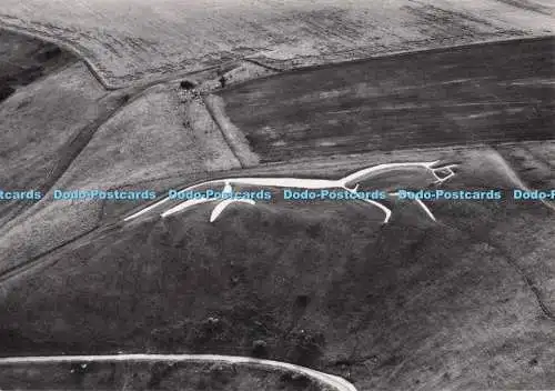 D297541 Uffington. Berkshire. Das weiße Pferd. Ministerium für öffentliches Bauwesen und W
