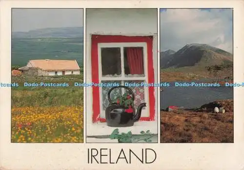 D297546 Irland. Einblickkarten. Peter Zoller. Multi View