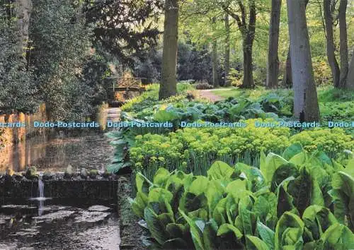 D294667 Cheshire. The Stream at Dunham Massey. National Trust Images. Andrew But