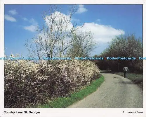 D297615 St. Georges. Country Lane. Howard Evans. Weston Hospicecare