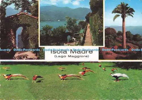 D292581 Lago Maggiore. Isola Madre. Reggiori. Multi View