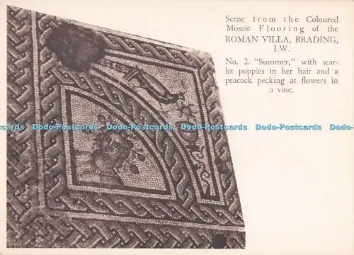 D292638 Szene aus dem farbigen Mosaikboden der römischen Villa. Brading. Summe