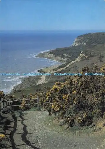 D292661 Fairlight Cliffs Near Hastings. Die prächtigen Feuerhügel. Richter. C. 81