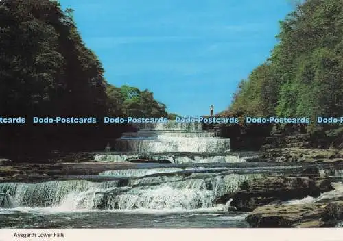 D297765 Aysgarth Lower Falls. E. T. W. Dennis