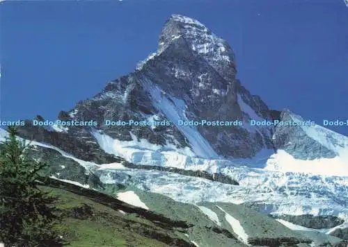 D294910 Zermatt. Matterhorn Mt. Cervin. Hornligrat. Klopfenstein