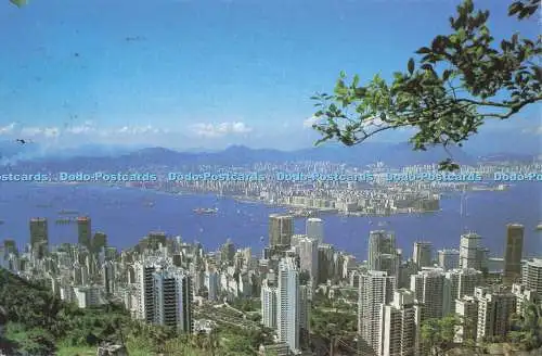 D294936 Hongkong und Kowloon vom Gipfel. Der Lux. G.P.O