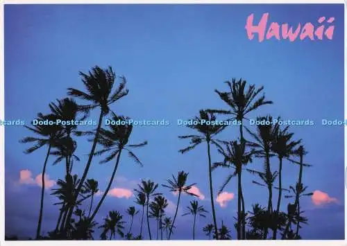 D294939 Hawaii. Einzigartige farbige Sonnenuntergänge. Hawaiianische Ressourcen. Peter French. PM. Honol