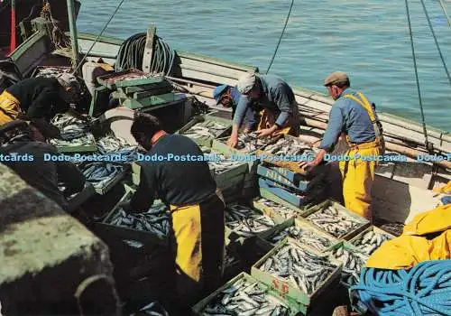 D294943 Debarquement du Poisson. Pierre Artaud. Gabier