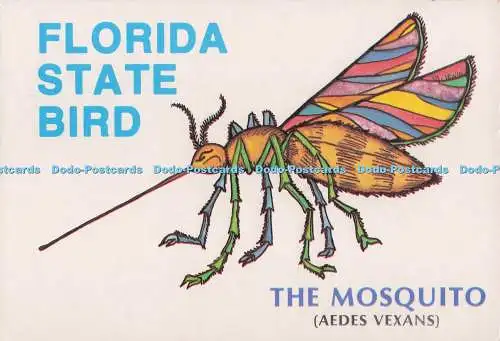D297861 Florida State Bird. Die Mücke. Plastichrom. Sun Coast Postkarten