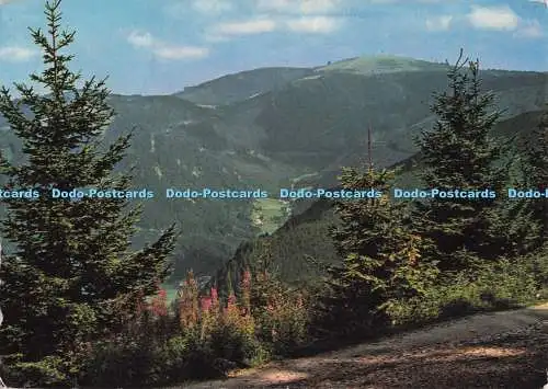 D298034 Im Hochschwarzwald. Feldbergblick. Cafe Restaurant. Freiburg im Breisgau