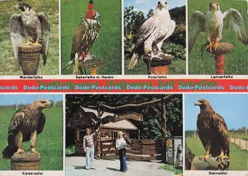 D298066 Jagdfaljenhof. Bad Salzuflen. an der Straße Bad Salzuflen. Wanderfalke.