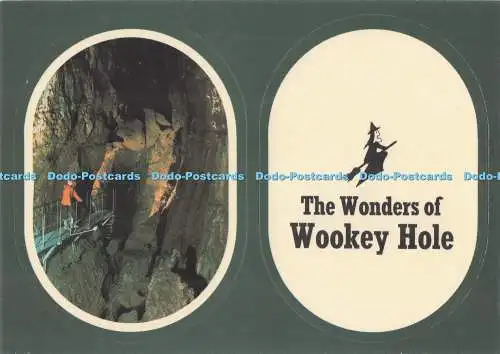 D295191 Die Wunder von Wookey Hole. Die neunte Kammer. Delphinpresse. Ein Delfin