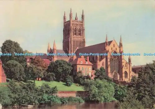 D298096 Worcester Cathedral. aus dem Fluss. Britannia Colour Limited. Allday Li