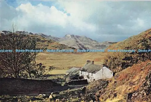 D292988 Westmorland. Bogen fiel. J. Arthur Dixon. Newport. I.W. England