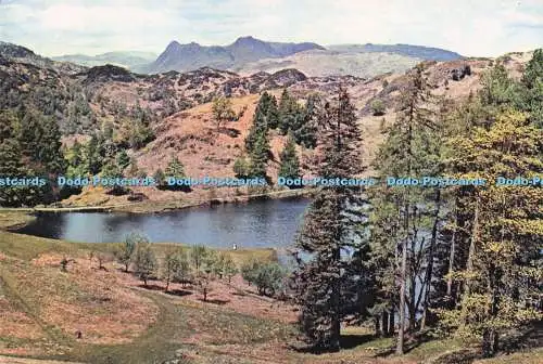 D292990 Langdale Hechte von Tarn Hows. J. Arthur Dixon. Newport. I.W. England