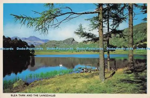 D298103 Blea Tarn and the Langdales