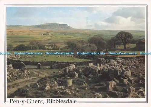 D295205 Pen y Gent. Ribblesdale. Richter. C. 5528
