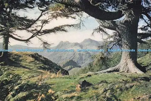 D292997 Westmorland. Die Langdale Pikes von Langmoor Fell. J. Arthur Dixon. Neu