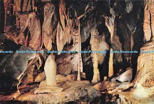 D295229 Cheddar. Cox Cave. Die Heimat des Regenbogens. J. Arthur Dixon. Isle of Perücke