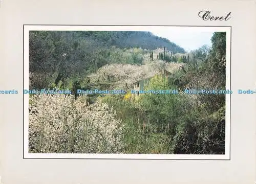 D295230 Ceret. Une Autre Vision du Roussillon. A. B.L.S.I.R.A. Chrom. Luc