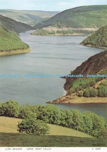 D295255 Llyn Brianne. Upper Towy Valley. Richter. C. 3169