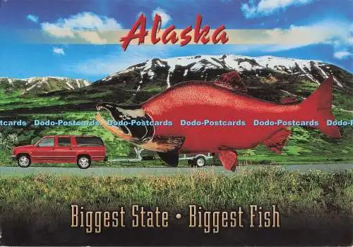 D295414 Alaska. Größter Staat. Größter Fisch. Arctic Circle Enterprises. Randy Br