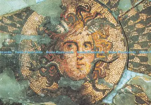 D293237 Dewnja. Das Mosaikmuseum. Die Medusa. Septemvri