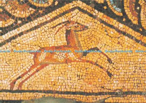 D293238 Dewnja. Das Mosaikmuseum. Antilope. Septemvri