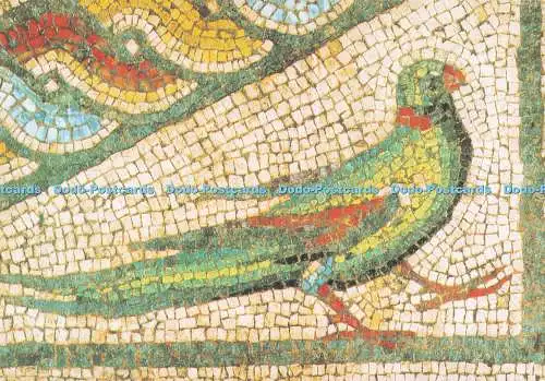 D293239 Dewnja. Das Mosaikmuseum. Papagei. Septemvri