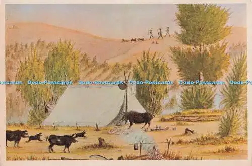 D298354 Canterbury Museum. Pighunters Camp in der Orari-Schlucht. Bildgeschichte Col