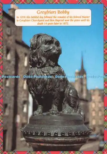 D295449 Greyfriars Bobby. Whiteholme. Schottland im Fokus