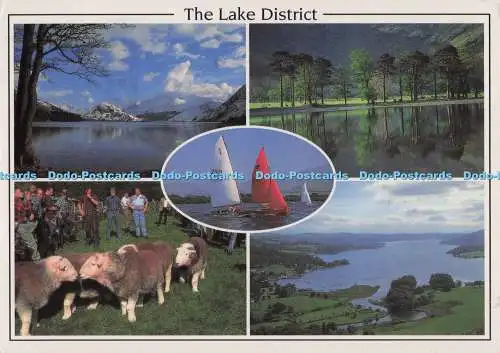 D298376 The Lake District. Krümelwasser. Buttermere. Lake Windermere. Peter Pe