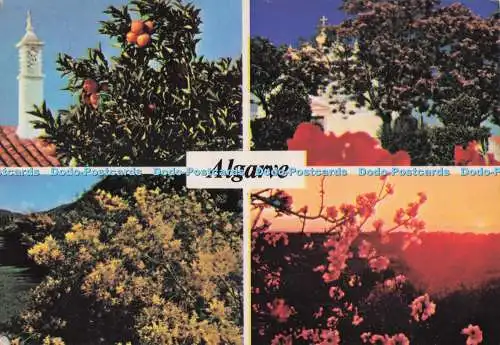 D298384 Algarve. Ansichten der Obstbäume. Foto Vista. Multi View