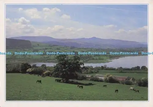 D298385 Powys. Brecon. Llangorse Lake. J. Arthur Dixon. Colin Underhill. 1993