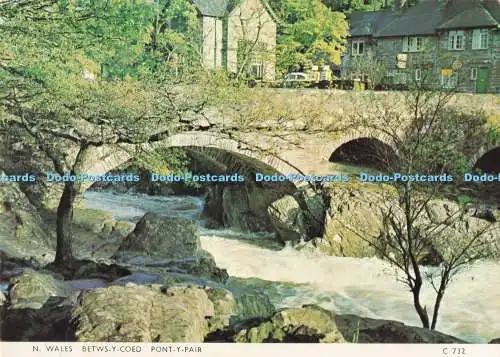 D295484 N. Wales. Betws y Coed. Pon y Paar. Richter. C. 732