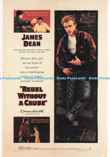 D293307 James Dean. Rebellieren ohne Grund. Cinema Scope. Fernand Hazan