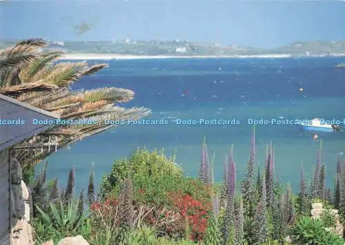 D293337 Hallo aus Tresco. Blick vom Blumenflügel. Vaughan Ives