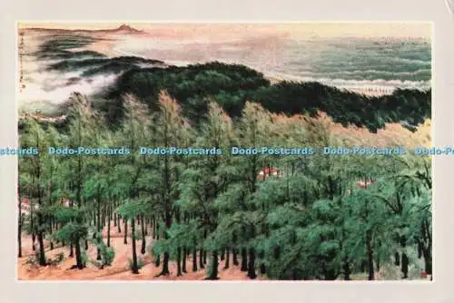 D298472 Grande Muraille de Verdure. Sprachen Etraneres. Pekin. China