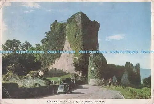 D298474 Irland. Co. Kerry. Killarney. Ross Castle. P.C. Farbkarte Nr. 95. Cah