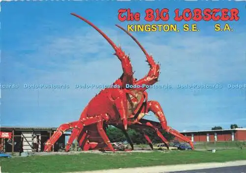 D293364 Kingston. S. E. The Big Lobster. Murray Ansichten. 1982