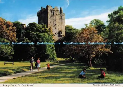 D298476 Irland. Co. Kork. Blarney Castle. John Hinde Ltd. E. Nagele