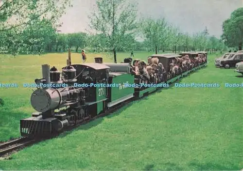 D295578 Stab. Drayton Manor Park und Zoo in der Nähe von Tramworth. Rio Grande. Lakeside
